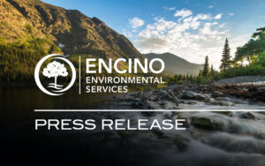 press-release-fi