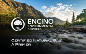 certified-gas-primer-fi