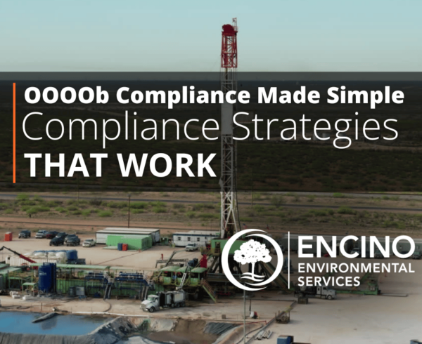 OOOOb-Compliance-Made-Simple