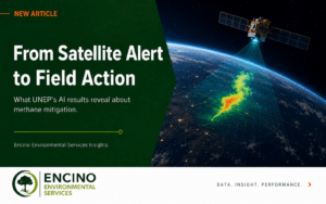 From Satellite Alert to Field Action