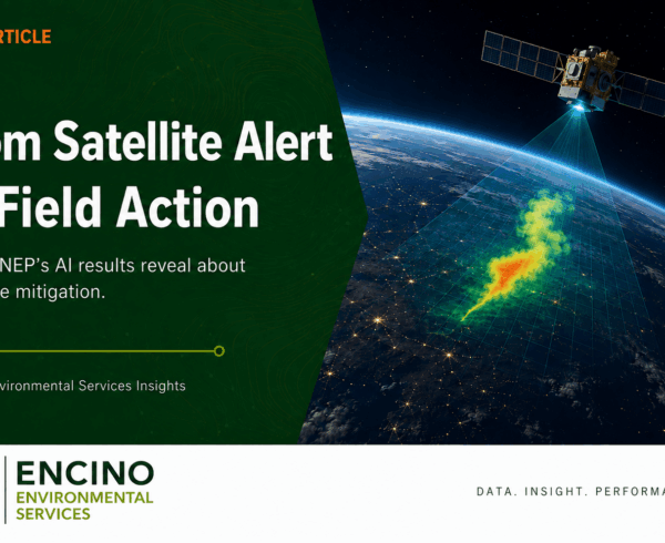 From Satellite Alert to Field Action